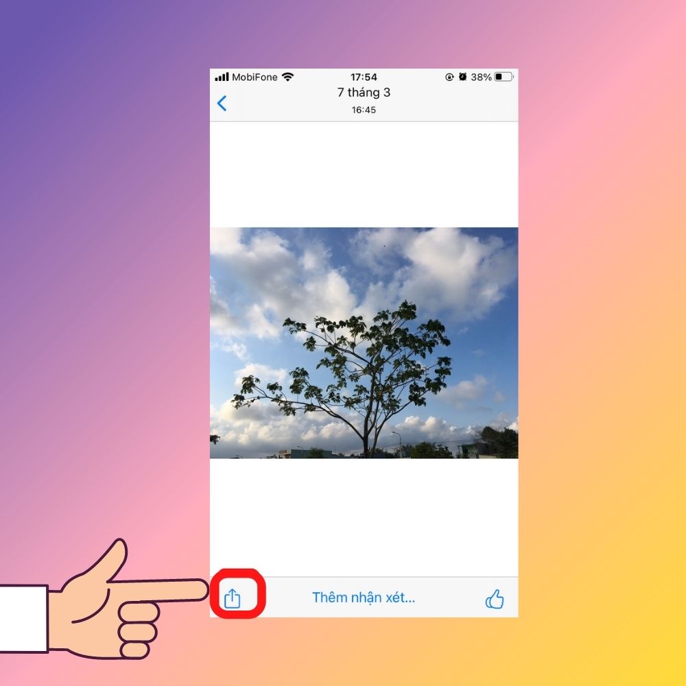 Hướng dẫn tải ảnh từ iCloud về iPhone trong Album được chia sẻ bước 2