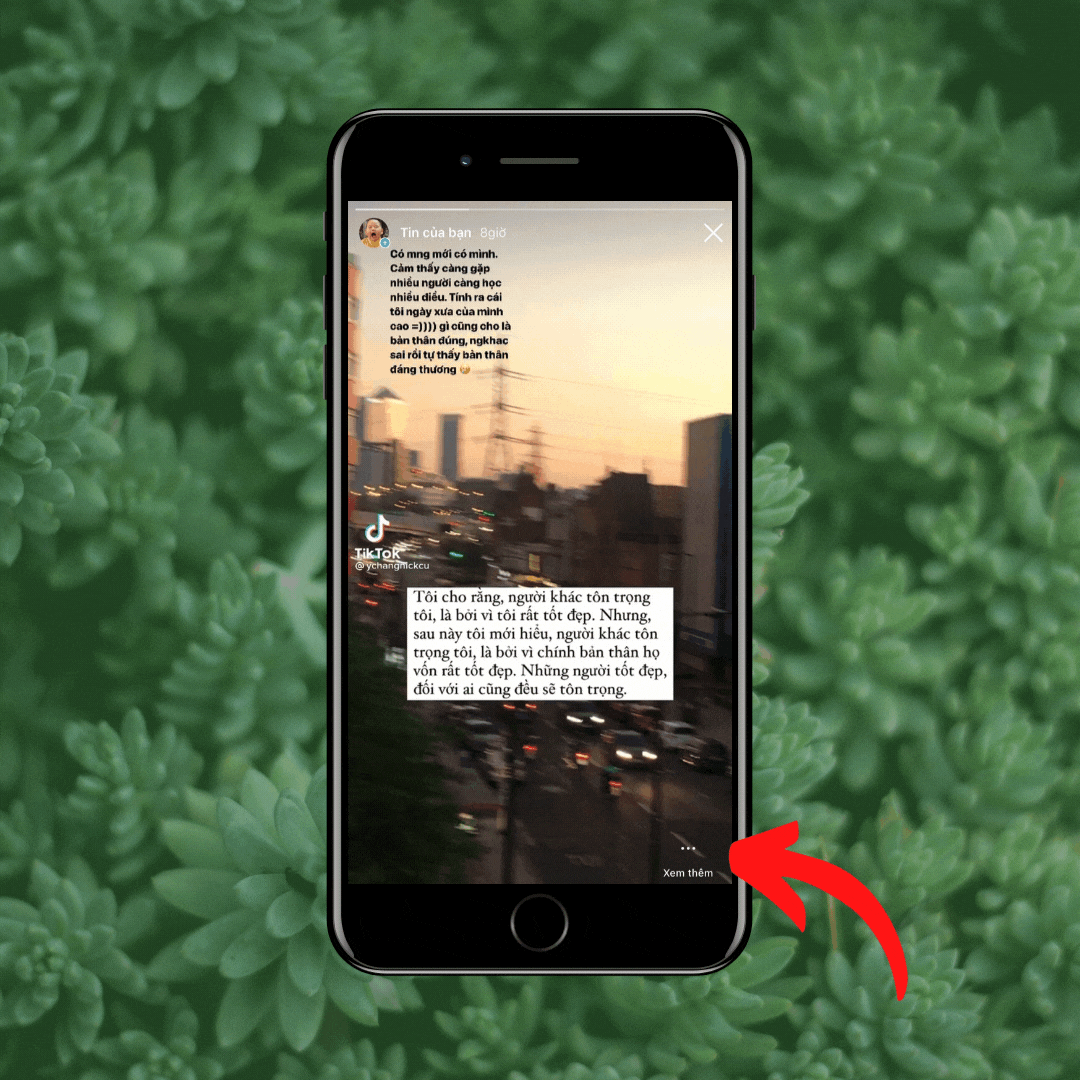 Các bước khôi phục lại Story đã xóa trên Instagram - bước 3