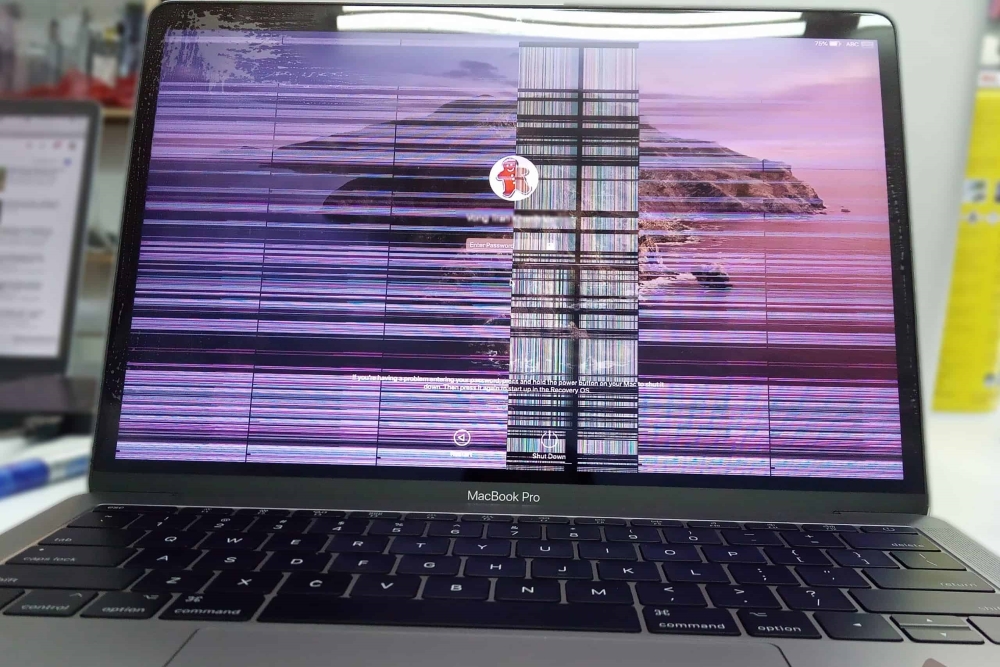 Màn hình laptop bị sọc dọc màn hình do lỗi màn hình