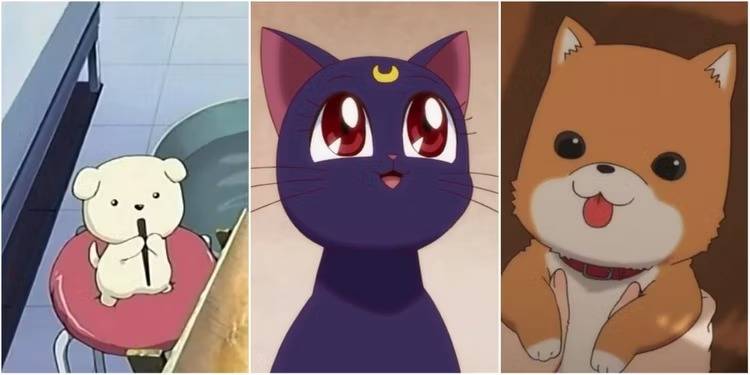 Xếp Hạng] 10 thú cưng cực đáng yêu trong anime - Divine News