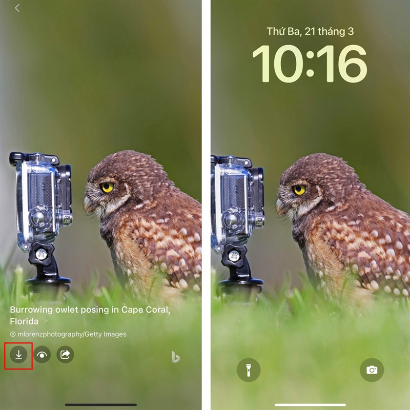 Cách lưu hình nền từ Bing AI iOS
