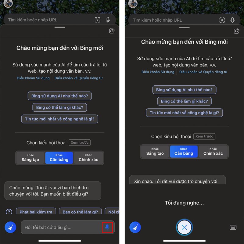 Cách sử dụng Bing AI trên iPhone