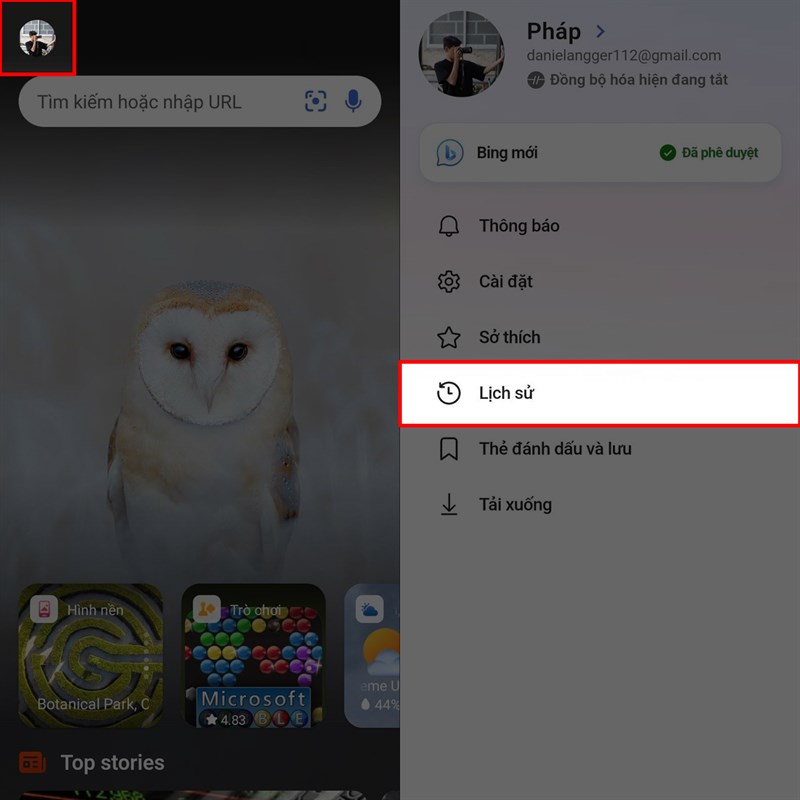 Cách xóa lịch sử hoạt động Bing AI trên điện thoại