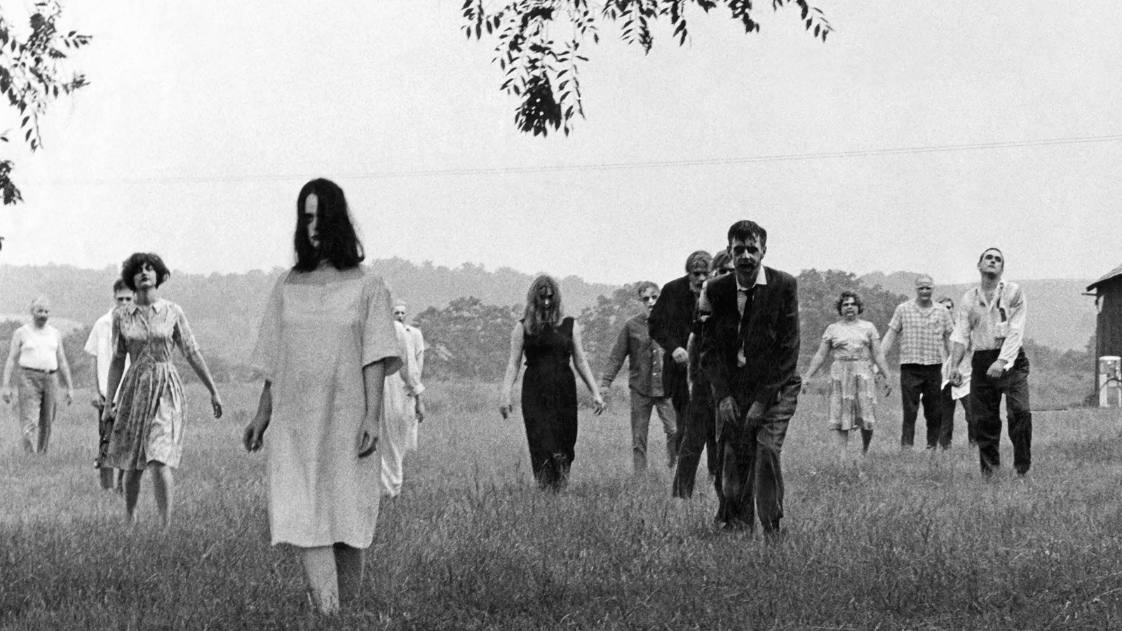 Night of the Living Dead ẩn chứa nhiều thông điệp tiến bộ | The Guardian